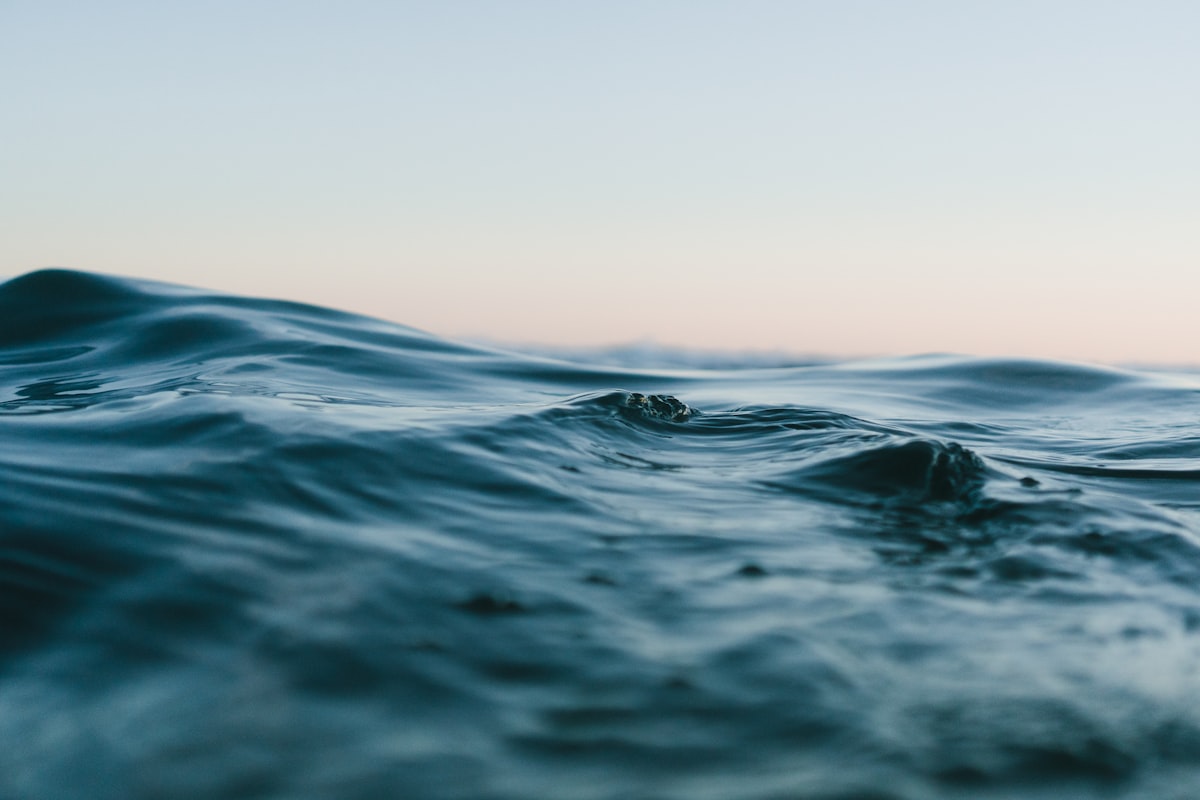 A calm sea at sunset, representing the patience required in the waiting period after the exam