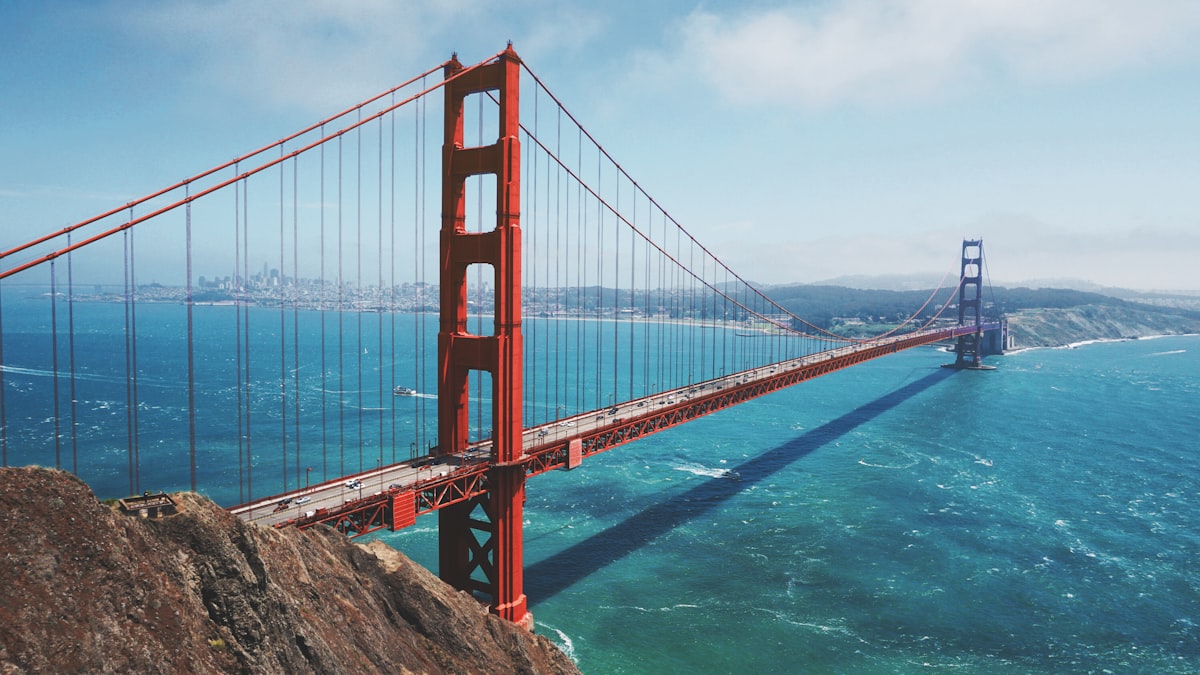 A suspension bridge disappearing into fog, its cables tracing the mathematics of static equilibrium
