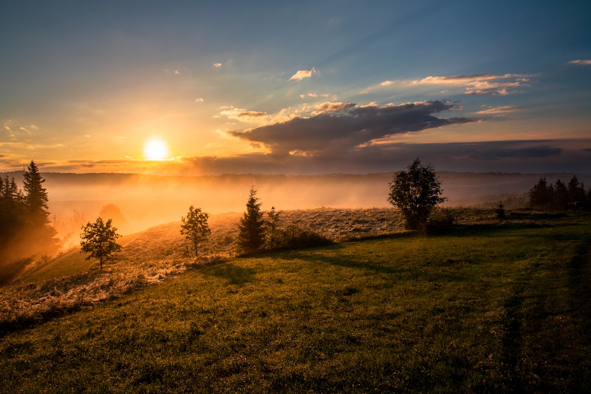 The first light of dawn breaking over the horizon, the promise of a new day