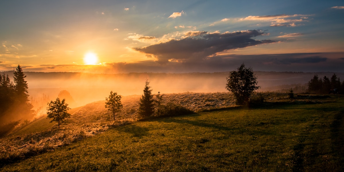 A golden sunrise over an open field