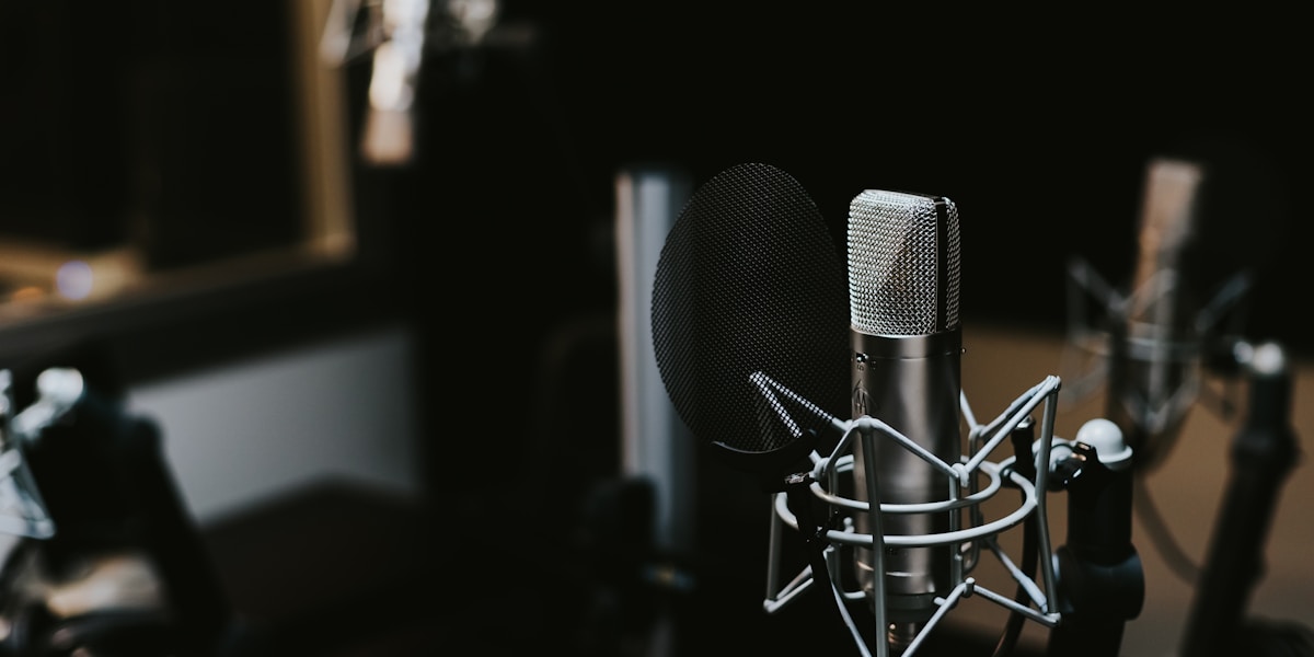 A professional studio microphone