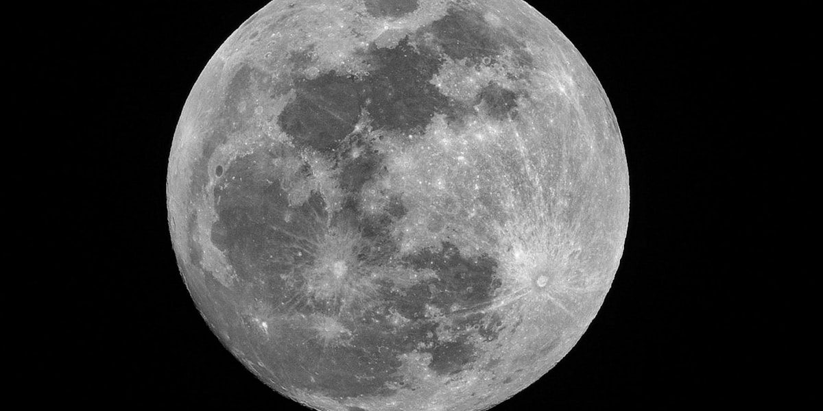 The Moon hanging in a dark sky