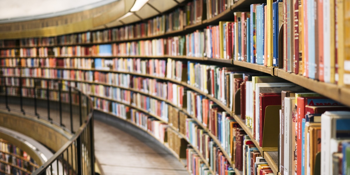 A bookshelf filled with books in warm light
